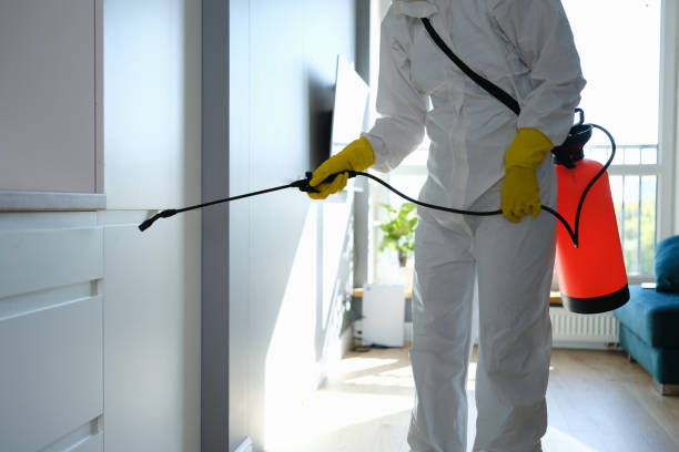 Best Residential Mold Remediation in White Salmon, WA