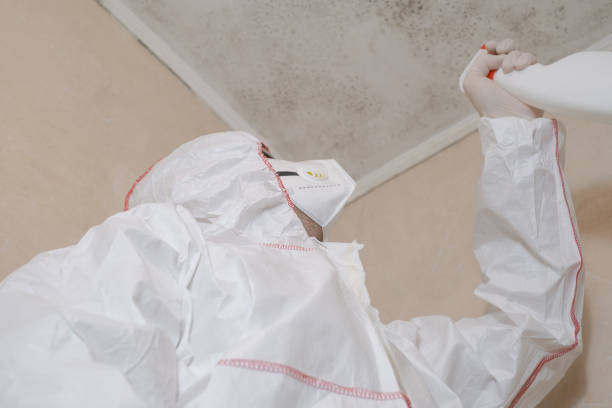 Trusted White Salmon, WA Mold Remediation Experts