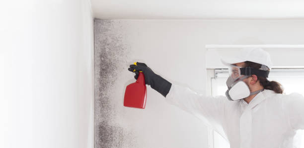 Best HVAC Mold Remediation in White Salmon, WA